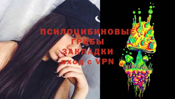 Альфа ПВП Бугульма