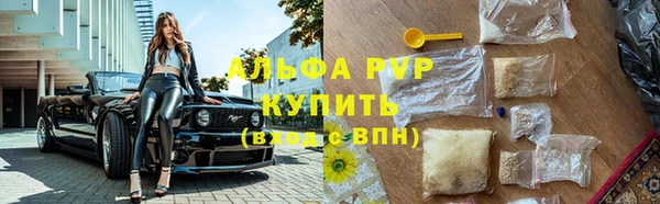 Альфа ПВП Бугульма